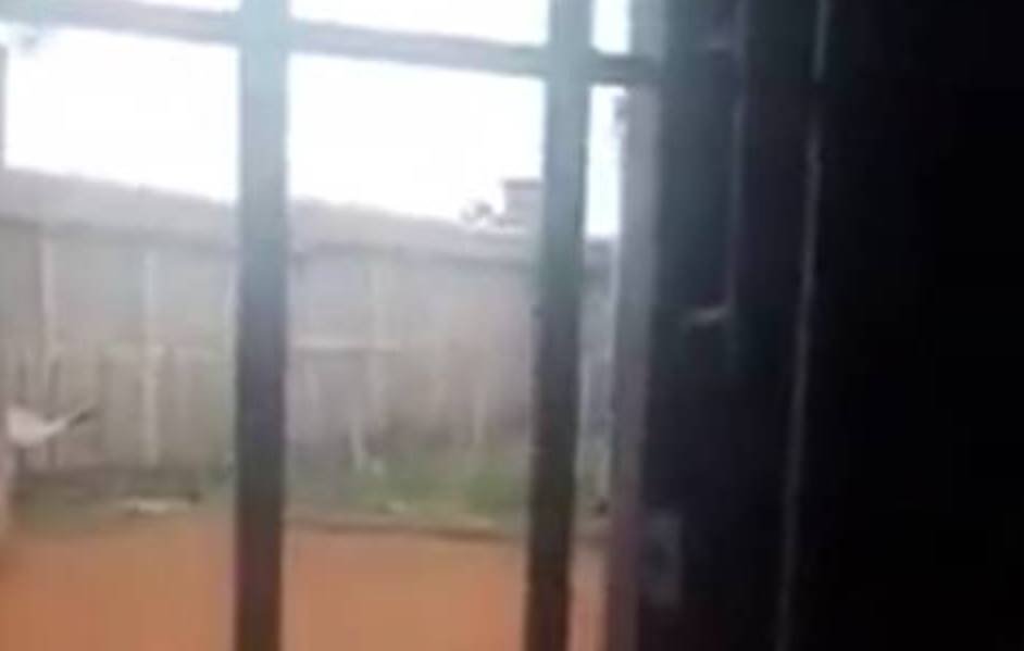 Los videos de la fuga de la cárcel de Misiones